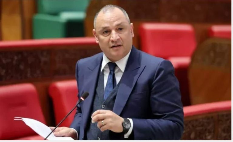 رياض مزور وتصريحات الجدل: بين منطق المواطنة وحساسية خطابه للجالية المغربية بالخارج